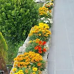 Gazdinstvo Prcovic Villa Trebinje